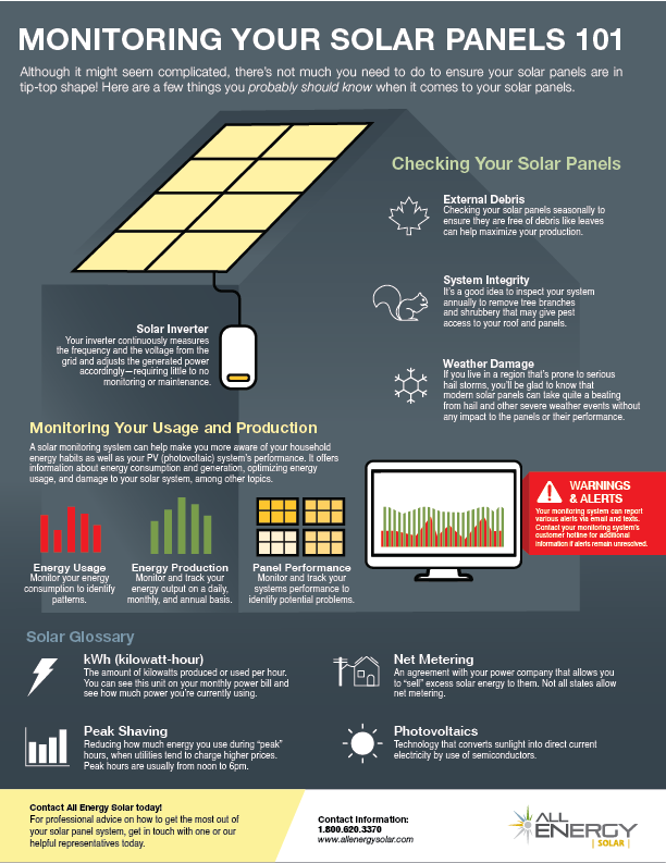 Infographic: Monitoring Your Solar Panels 101